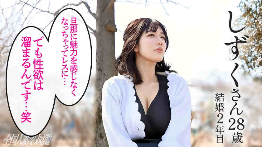 336KNB-375